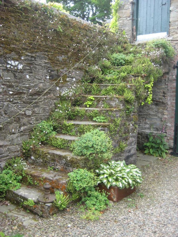 Ballydugan Country House Downpatrick Ngoại thất bức ảnh