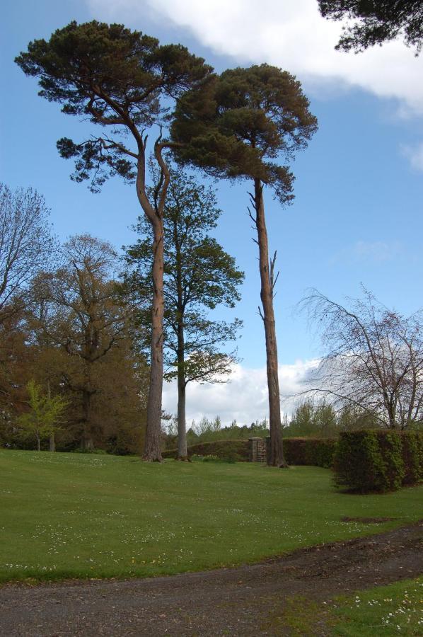 Ballydugan Country House Downpatrick Ngoại thất bức ảnh