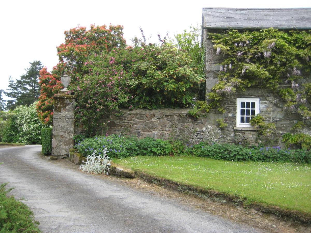 Ballydugan Country House Downpatrick Ngoại thất bức ảnh