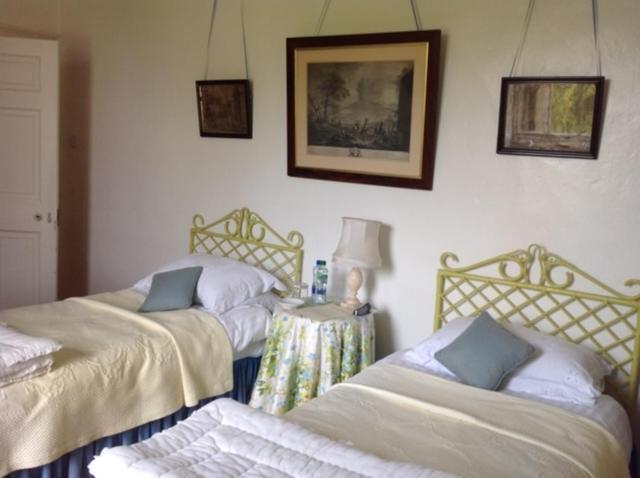 Ballydugan Country House Downpatrick Ngoại thất bức ảnh